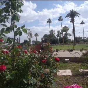 Meet your Posher, Kira